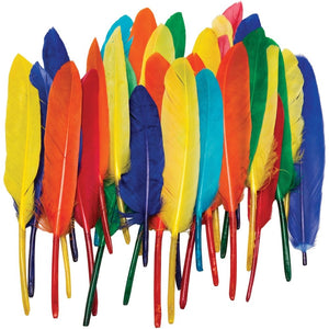 51802 Feathers - Rainbow  4oz pk