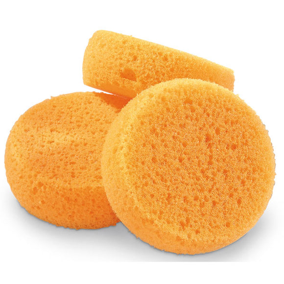 56507 Sponges - Hydra (10 pack)