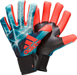 Goalie Gloves